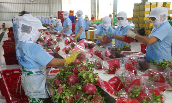 Để nông sản Việt Nam có chỗ đứng vững ở thị trường EU