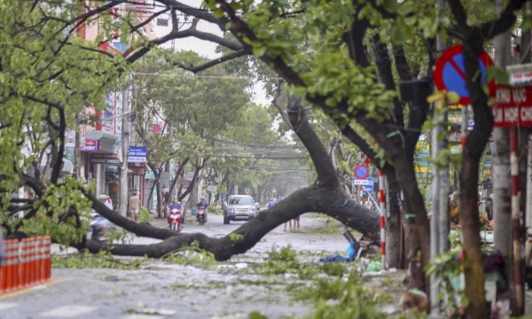 Đường phố Đà Nẵng ngổn ngang sau cơn bão số 9