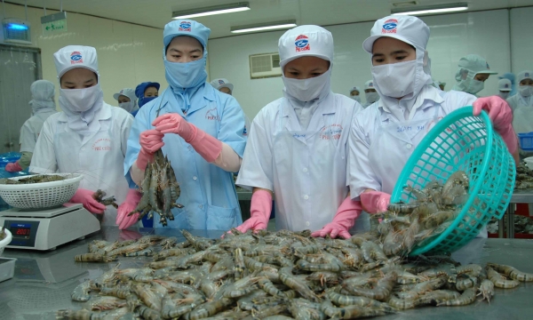 Cần chú trọng xuất khẩu tôm sang thị trường ASEAN