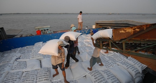 Gạo Việt Nam xuất khẩu năm 2020: Giảm về sản lượng nhưng tăng giá trị