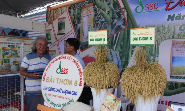 Bất chấp khó khăn, ngành lúa gạo Việt Nam vẫn “về đích” xuất sắc