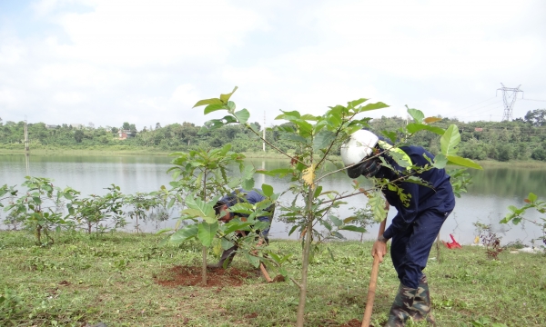 Tổng cục Lâm nghiệp khuyến cáo mùa vụ trồng rừng từ tháng 4 - 6/2021