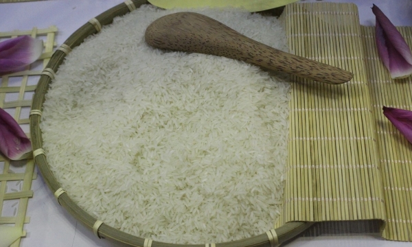 Nguy cơ mất thương hiệu gạo ST25 và câu chuyện “biết rồi khổ lắm nói mãi” của ngành gạo Việt