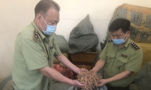 Lạng Sơn: Tiếp tục ngăn chặn 190 kg Dược liệu không đảm bảo chất lượng