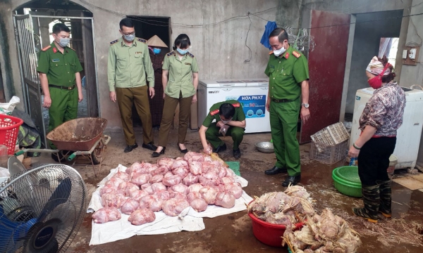 3 tấn gà bốc mùi thối ở Thái Nguyên chuẩn bị ra thị trường