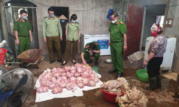 Phát hiện hơn 3 tấn gà thịt đã bốc mùi hôi thối, chuẩn bị bán ra thị trường