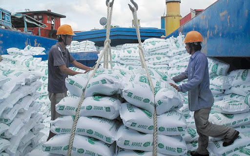 Giá gạo xuất khẩu của Việt Nam giảm mạnh