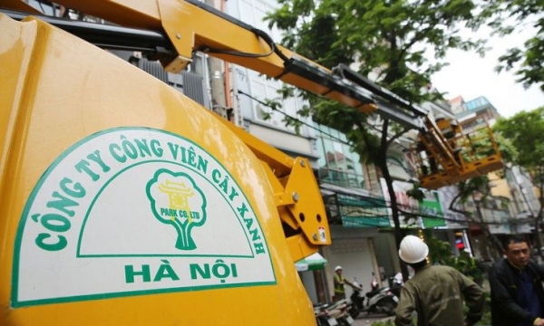Sở Xây dựng Hà Nội một ngày ký 3 quyết định trúng thầu hơn 1.800 tỷ đồng cho Công ty công viên cây xanh