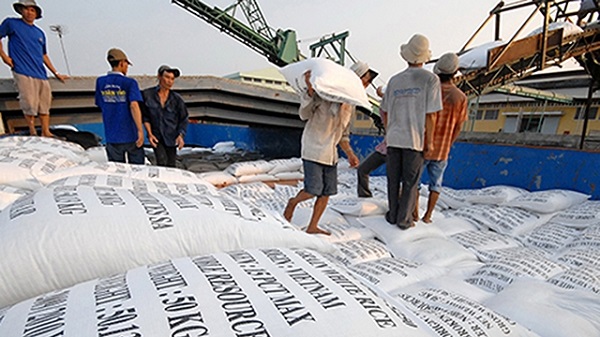 Hỗ trợ điều kiện để doanh nghiệp lúa, gạo tăng trưởng trong bối cảnh dịch bệnh