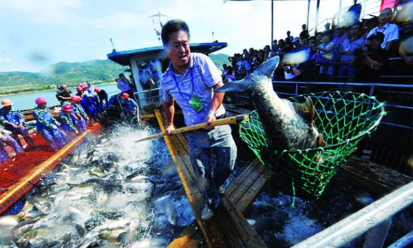 Trung Quốc giảm sản lượng nuôi trồng thủy sản trong nước