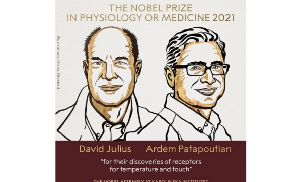 Hai nhà khoa học Mỹ đạt Giải Nobel Y sinh 2021 nhờ phát hiện về các thụ thể nhiệt và xúc giác