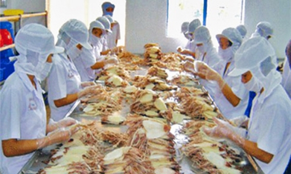 8 tháng, xuất khẩu bạch tuột, mực Việt Nam sang EU tăng 39%