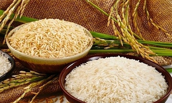 Giá lúa gạo miền Tây tăng trở lại