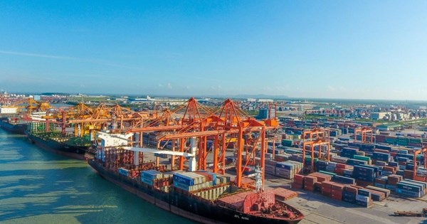 Giá cước tăng cao, doanh nghiệp vận tải cảng biển lãi đậm