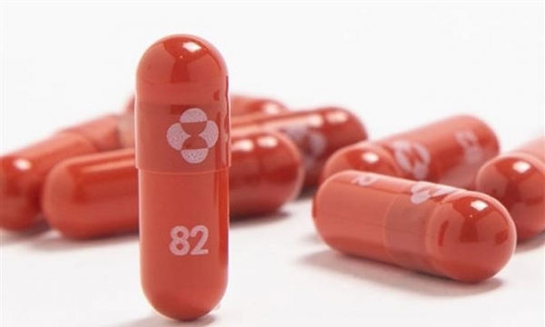 Ba Lan sẽ có thuốc Molnupiravir chữa COVID-19 giữa tháng 12