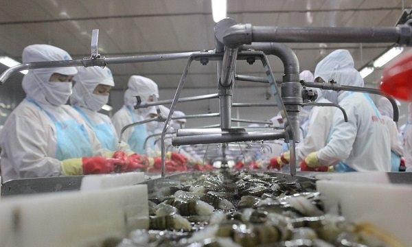 Dư địa xuất khẩu tôm Việt Nam sang EU còn lớn