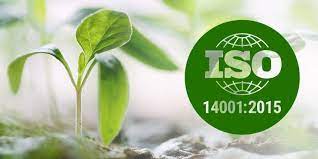 Hiệu quả áp dụng tiêu chuẩn ISO 14001 tại các doanh nghiệp ngành du lịch