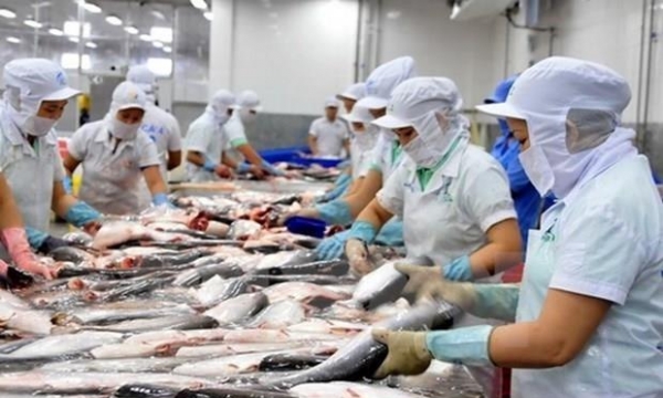 Xuất khẩu cá tra và các loại hải sản sang Nga tăng mạnh