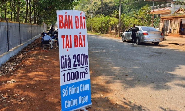 Quảng Nam: Cảnh báo hoạt động đầu cơ, mua đi bán lại bất động sản gây “sốt ảo”