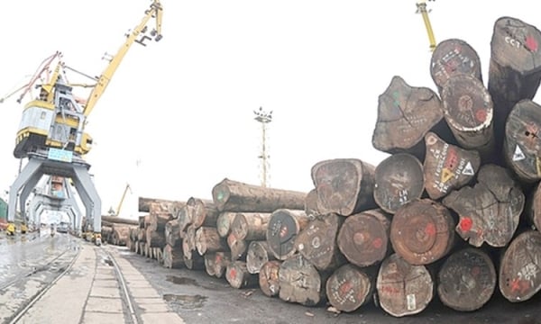 Phát triển ngành công nghiệp chế biến gỗ bền vững