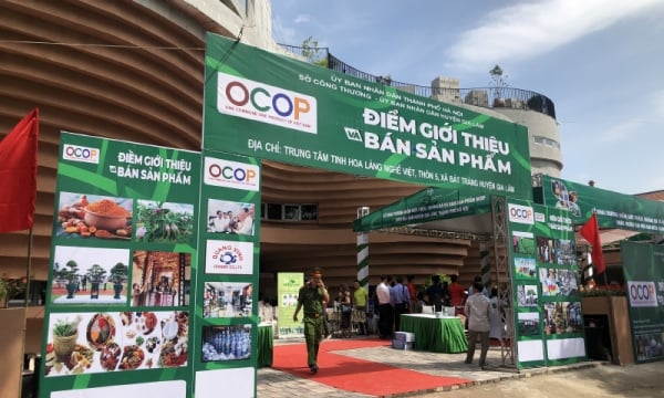 Hà Nội: Phát triển quảng bá sản phẩm OCOP