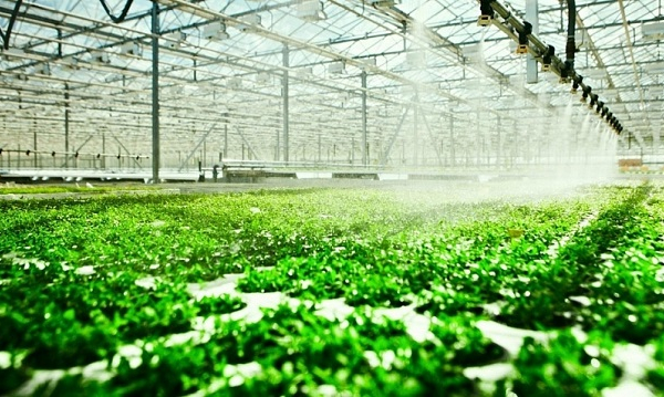 Nâng chất lượng môi trường từ nền nông nghiệp xanh