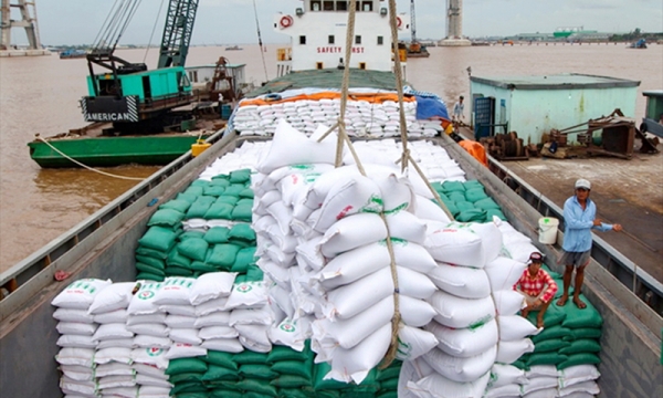 Xuất khẩu gạo Việt Nam vượt mốc 1 tỷ USD