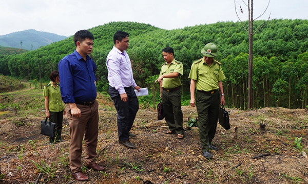 Bắc Giang tăng cường công tác quản lý nhà nước về giống cây trồng lâm nghiệp
