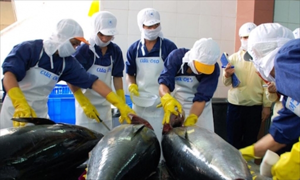 Xuất khẩu cá ngừ “giảm tốc” trong tháng 4