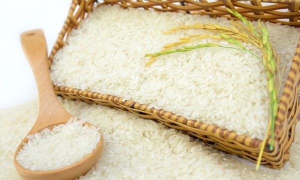 Gạo Trung An giảm kế hoạch lợi nhuận năm 2022 từ 600 tỷ đồng về 110 tỷ đồng