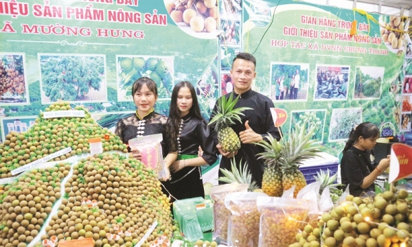 Nông sản Việt thúc đẩy phát triển thị trường trong nước, nâng cao chất lượng