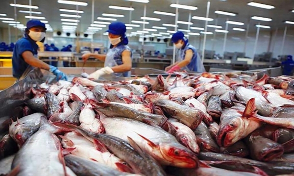 Xuất khẩu thủy sản Việt Nam bứt phá