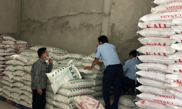 Truy cứu trách nhiệm hình sự vụ buôn bán phân bón giả tại Kiên Giang