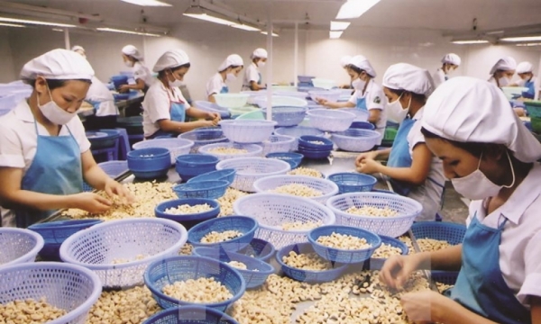 Chú trọng tiêu chuẩn an toàn thực phẩm và truy xuất nguồn gốc - để nông sản Việt rộng đường xuất khẩu