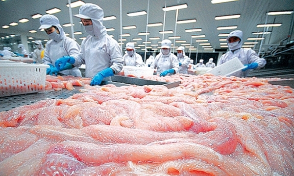 Xuất khẩu cá tra nửa đầu năm tăng mạnh ở ba thị trường lớn