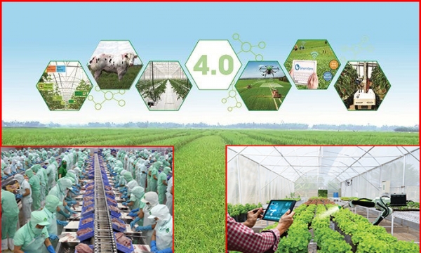 Chiến lược phát triển cơ giới hóa nông nghiệp và chế biến nông lâm thủy sản