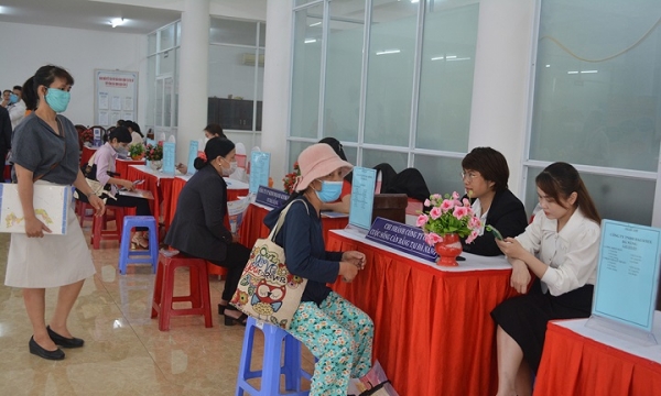 Đà Nẵng tổ chức ngày hội việc làm sinh viên