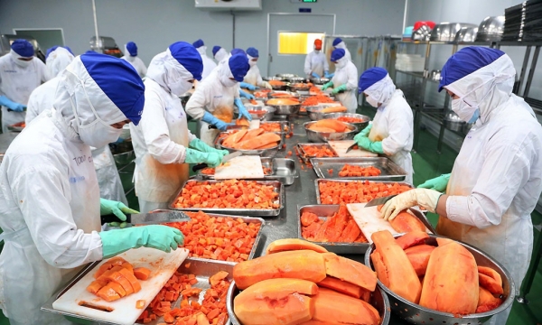Mục tiêu đưa Việt Nam trở thành trung tâm chế biến nông sản top 10 thế giới vào năm 2030