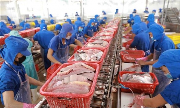 Xuất khẩu cá tra sang Trung Quốc tăng 107%
