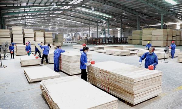 Doanh nghiệp xuất khẩu gỗ đang 'đứng ngồi không yên'