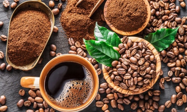 Xuất khẩu cà phê có thể thiết lập mốc kim ngạch kỷ lục 4 tỷ USD