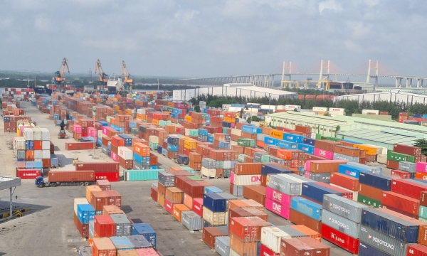 Công ty CP Vận tải và Xếp dỡ Hải An bị xử phạt thuế