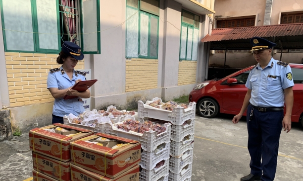 Hà Giang: Ngăn chặn phương tiện vận chuyển gần 2 tạ hoa quả nhập lậu