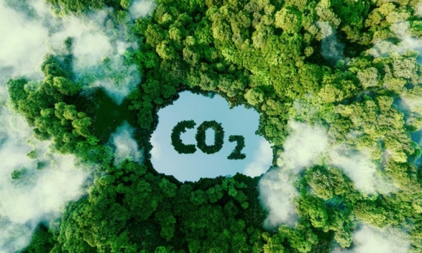 Định giá Carbon – Nguồn lực định hình chiến lược bảo vệ khí hậu của Việt Nam