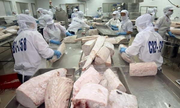 Xuất khẩu cá ngừ sang EU trong quý 3 tăng 41%