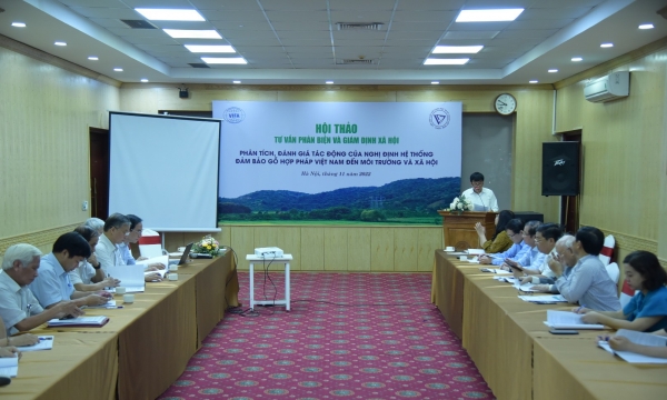 Những tác động VPA/FLEGT vào thương mại gỗ Việt Nam