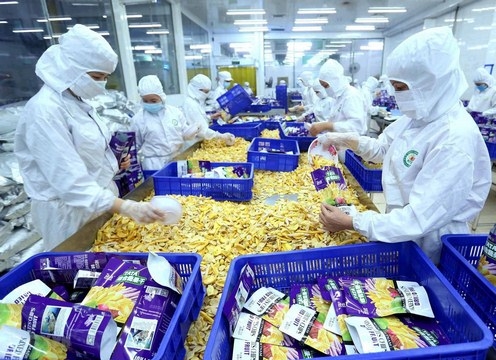 Kim ngạch xuất nhập khẩu của Việt Nam ước đạt 673,8 tỷ USD