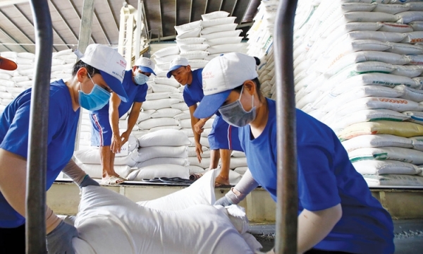 Giá gạo tấm Việt Nam có thời điểm vượt Thái Lan