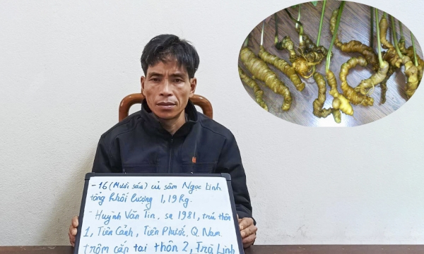 Công an Trà My tỉnh Quảng Nam triệt phá nhanh vụ trộm cắp sâm ngọc linh