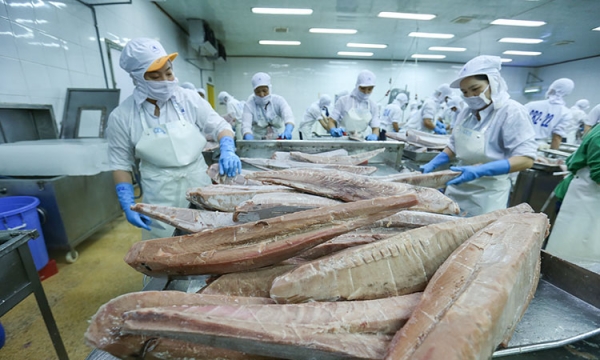 Xuất khẩu cá ngừ cán đích 1 tỷ USD